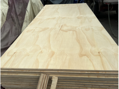 Ván Ép Plywood Cao Cấp – Giải Pháp Bền Vững Cho Xây Dựng